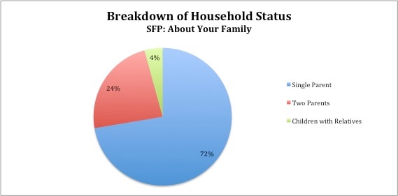 Chart showing client household status distribution